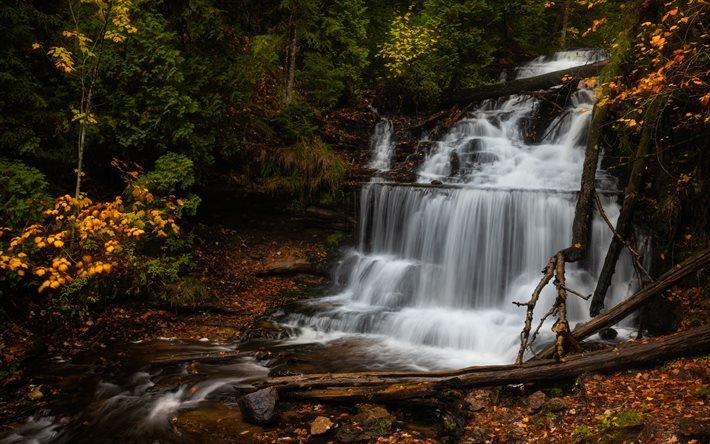 Wagner Falls, autumn, forest, waterfall, autumn trees, beautiful waterfall, Michigan, USA