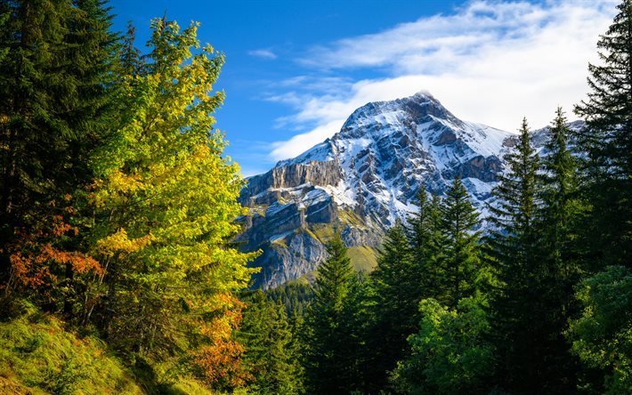 Sveitsi, 4k, vuoret, Gryon, Alpit, syksy, kaunis luonto, Eurooppa, HDR