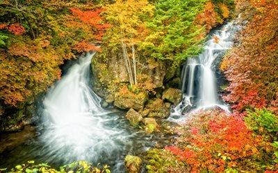 Japan, forest, waterwall, rock, yellow trees