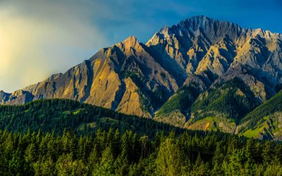 Alberta, mountain range, forest, summer, mountains, Banff National Park, Canada
