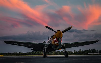 P-40K Warhawk, Aléoutiennes, le Tigre, le 4k, les vieux avions, de la seconde Guerre Mondiale, les chasseurs AMÉRICAINS, Curtiss P-40 Warhawk