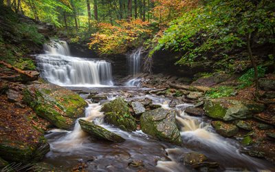 Ricketts Cai, cachoeira, 4k, outono, floresta, rio, paisagem de outono, EUA, Ricketts Glen Parque Estadual, Pensilv&#226;nia