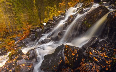 outono, rio de montanha, cachoeira, floresta, paisagem de outono, EUA