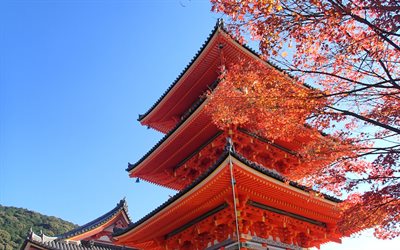 Senspji, أساكوسا كانون معبد, الصيف, اليابانية المعالم, كيوتو, طوكيو, اليابان