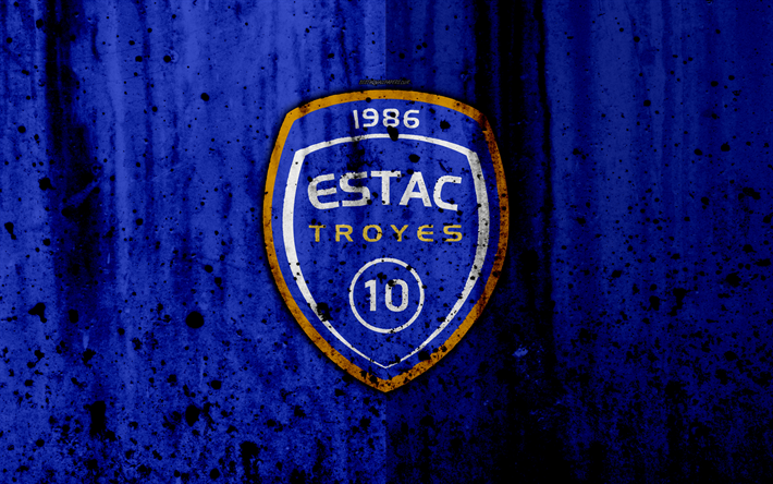 FC Troyes, 4k, le logo de la Ligue 1, de la pierre, de la texture, de Troyes, de grunge, de football, club de football, le m&#233;tal de la texture, de la Liga 1, Troyes FC