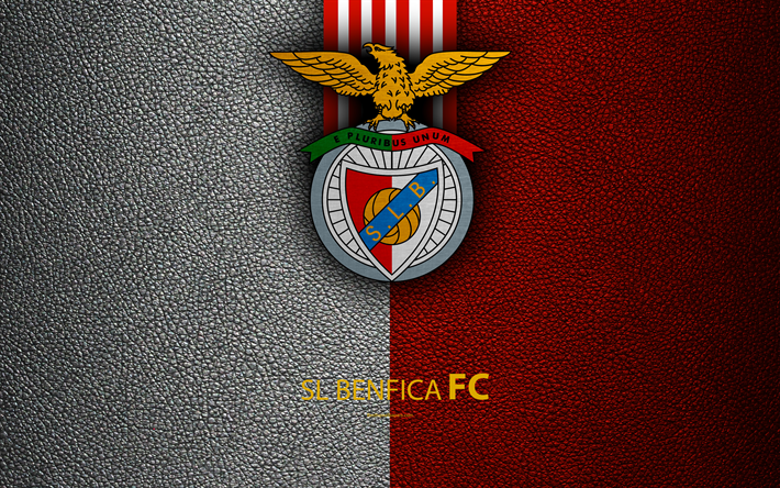 Fc benfica Benfica Stadium