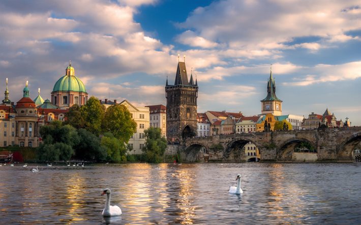 Praha, Vltavajoki, auringonlasku, kivinen vanha silta, joutsenet, Prahan kaupunkikuva, Tšekki