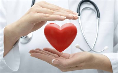 Assicurazione sulla vita, Concetti assicurativi, cuore rosso in mano, assicurazione, medicina