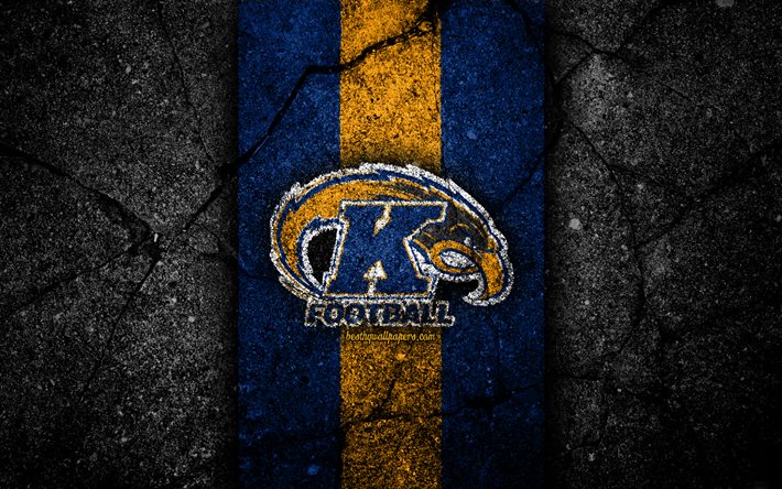 Kent State Golden Flashes, 4k, amerikansk fotbollslag, NCAA, bl&#229; gul sten, USA, asfalt textur, amerikansk fotboll, Kent State Golden Flashes logotyp