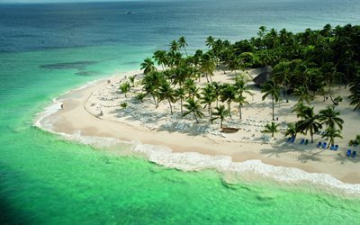 beach, ocean, palm trees, tropical island, vacation, beach chairs