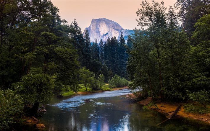 river, forest, mountain, mountain landscape, California, USA, Merced River, Yosemite National Park, Half Dome