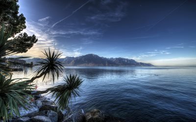 Switzerland, palms, sea, summer, HDR