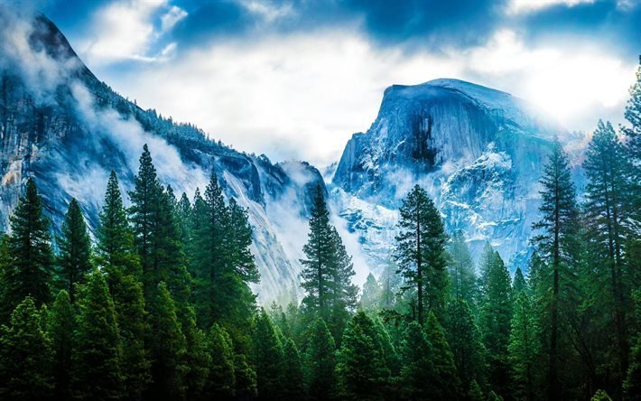 montagna, paesaggio, roccia, bosco, USA, Yosemite National Park