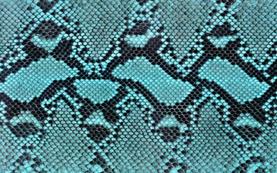 mavi yılan deri, s&#252;r&#252;ngen deri, makro, yılan derisi dokular, mavi yılan deri arka planlar, yılan derisi