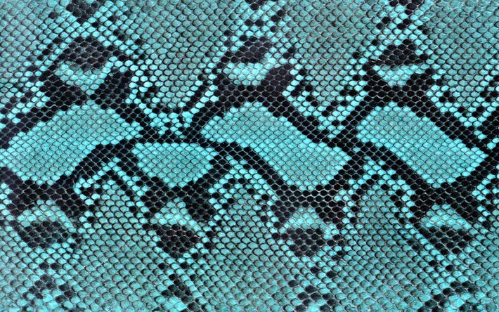 azul de pele de cobra, r&#233;pteis pele, macro, texturas de pele de cobra, azul cobra, couro fundos, pele de cobra