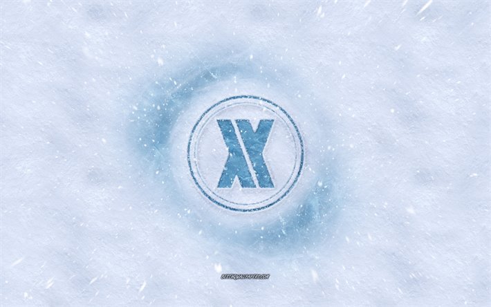 Blasterjaxx logo, winter concepts, snow texture, snow background, Dutch DJ, Blasterjaxx emblem, Thom Jongkind, Idir Makhlaf, winter art, Blasterjaxx