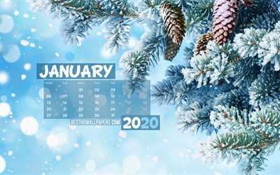 4k, January 2020 Calendar, snowy fir-tree, 2020 calendar, January 2020, winter, creative, winter backgrounds, January 2020 calendar with fir-tree, Calendar January 2020, blue background, 2020 calendars