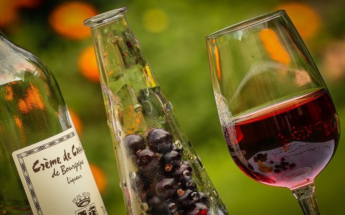 vin rouge, un verre de vin, des raisins, du vin, des concepts, vignoble