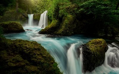 Rio Columbia, cachoeiras, floresta, rio, Washington, EUA, Columbia River Gorge, Estados Unidos
