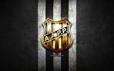 ponte preta-fc, golden logo, serie b, black-metal-hintergrund, fu&#223;ball, aa ponte preta, brasilianische fu&#223;ball-club, ponte preta-logo, fussball, brasilien