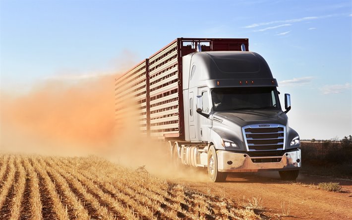 Freightliner Cascadia, tung lastbil, transporter, leverans begrepp, amerikanska lastbilar, Freightliner
