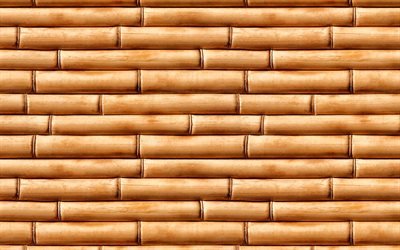 brown bamboo trunks, close-up, bambusoideae sticks, macro, bamboo textures, brown bamboo texture, bamboo canes, horizontal bamboo texture, bamboo, bamboo sticks, brown wooden background