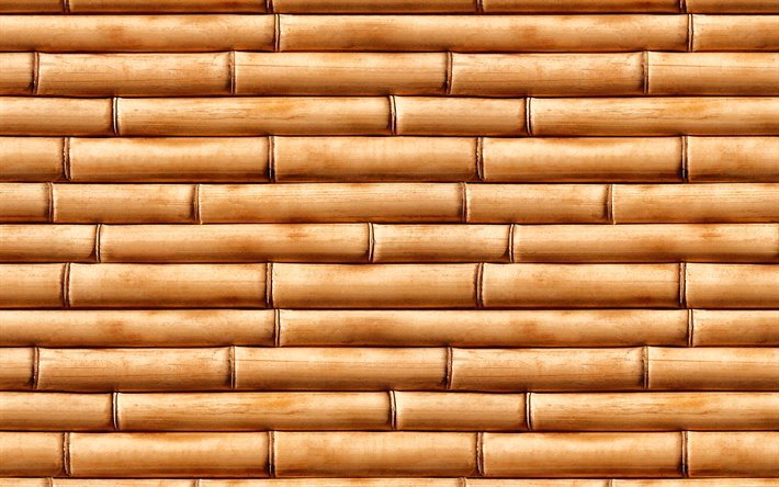 kahverengi bambu g&#246;vdeleri, yakın, bambusoideae &#231;ubukları, makro, bambu doku, kahverengi bambu doku, bambu kamışı, yatay bambu doku, bambu, bambu sopa, kahverengi ahşap arka plan