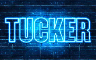 Tucker, 4k, pap&#233;is de parede com os nomes de, texto horizontal, Tucker nome, luzes de neon azuis, imagem com Tucker nome
