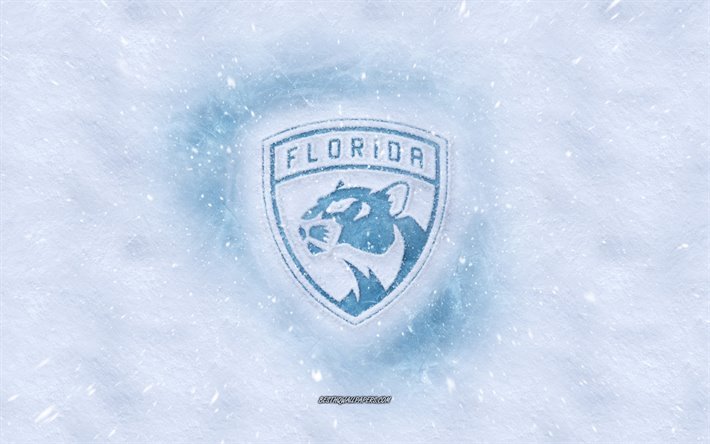Florida Panthers logo, American hockey club, winter concepts, NHL, Florida Panthers ice logo, snow texture, Sunrise, Florida, USA, snow background, Florida Panthers, hockey