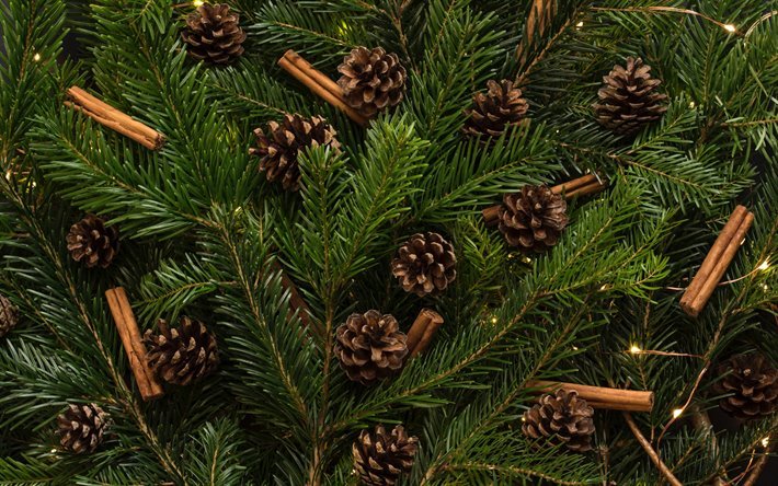 green christmas tree mit zapfen, zimtstangen, gr&#252;ner weihnachtsbaum, zweige, zapfen, gr&#252;n, weihnachten, hintergrund, baum-texturen