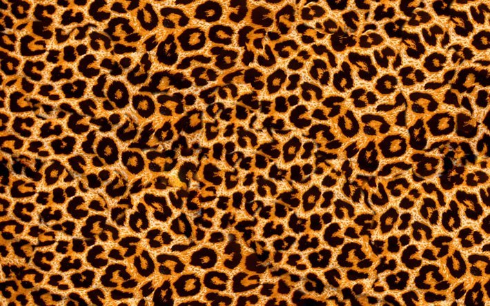 leopard textura da pele, 4k, macro, marrom com manchas de textura, pele de leopardo, leopardo de fundo, leopard l&#227;, leopardo de couro de fundo