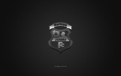 Zamora FC, Venezuelan jalkapalloseura, hopealogo, harmaa hiilikuitu tausta, Venezuelan Primera Division, jalkapallo, Barinas, Venezuela, Zamora FC logo