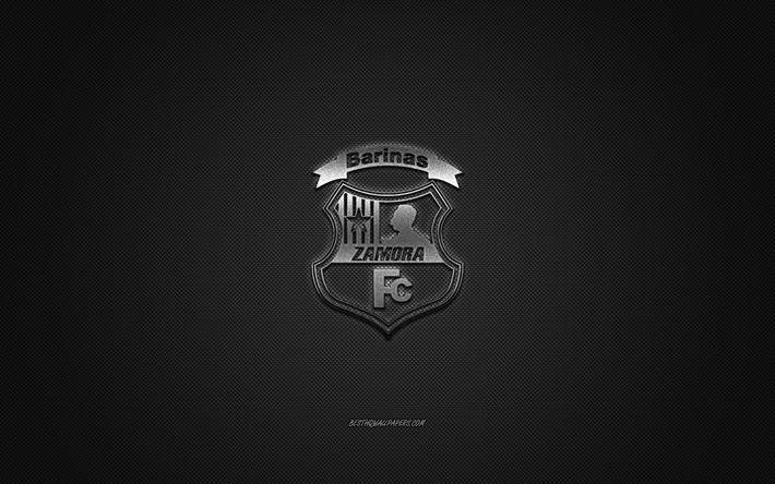 Zamora FC, Venezuelan football club, silver logo, gray carbon fiber background, Venezuelan Primera Division, football, Barinas, Venezuela, Zamora FC logo
