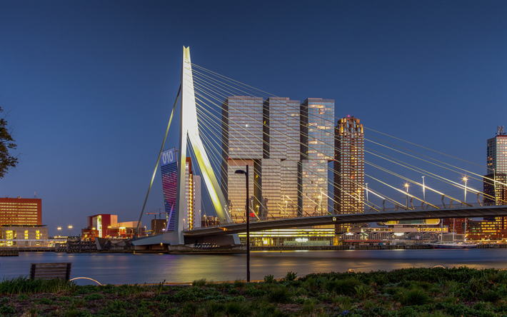 Rotterdam, 4k, Erasmusbrug, Bascule k&#246;pr&#252;s&#252;, Erasmus K&#246;pr&#252;s&#252;, Rotterdam şehir manzarası, Rotterdam panorama, Hollanda