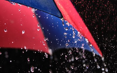 sade, sateenvarjo, sadepisarat, värikäs sateenvarjo, sadekäsitteet, vesipisarat
