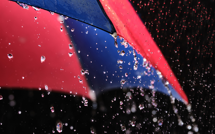 regn, paraply, regndroppar, f&#228;rgglada paraply, regnkoncept, vattendroppar