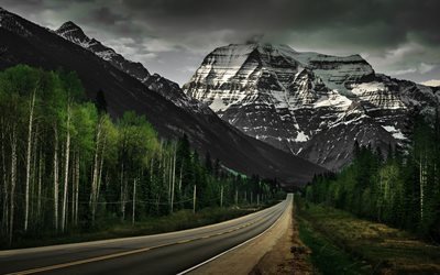 America, 4k, road, forest, mountains, USA
