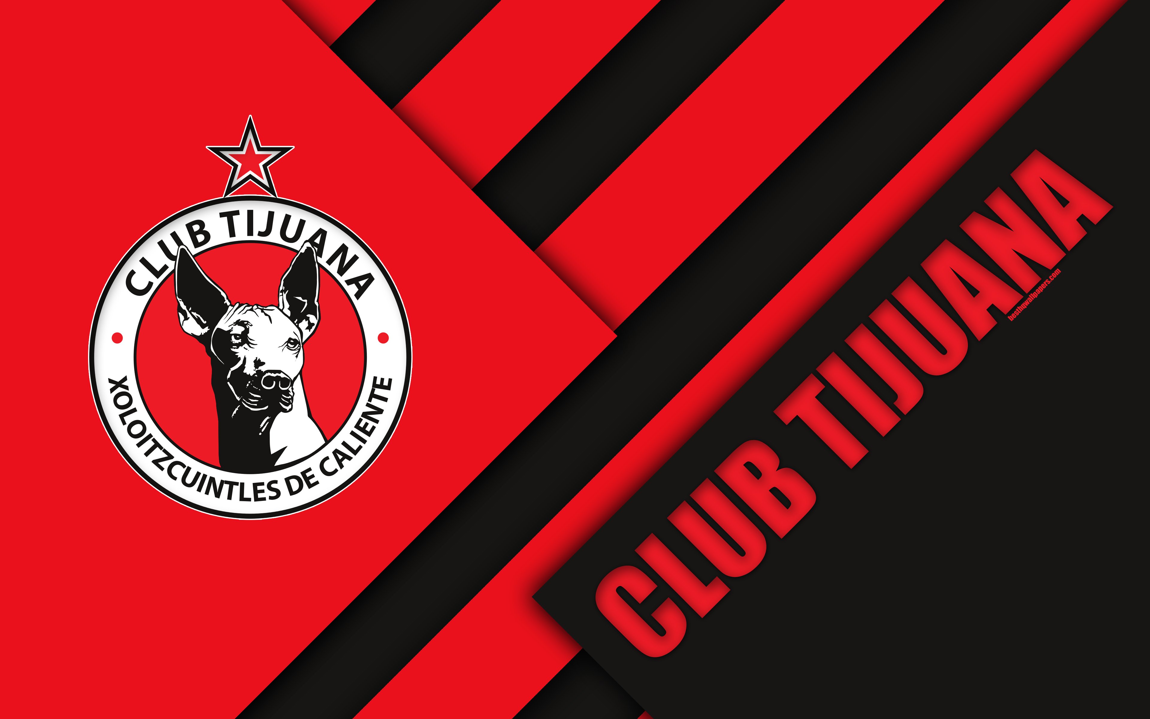 Xolos • Tijuana HD wallpaper | Pxfuel