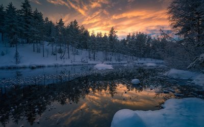winter landscape, forest, snow, sunset, evening, lake, Ringerike, Norway