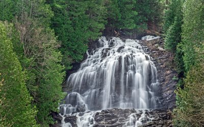 waterfall, rock, forest, green trees, high waterfall, mountain landscape