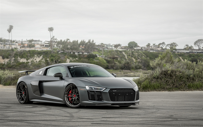 Audi R8, 2018, VRS, gris sports coupe, gris R8, tuning, coches deportivos, Audi