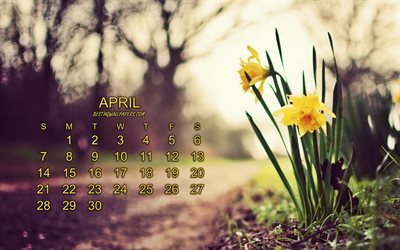 Calendar for April 2019, yellow spring flowers, April, crocuses, spring, 2019 April Calendar, 2019 concepts, 2019 calendars