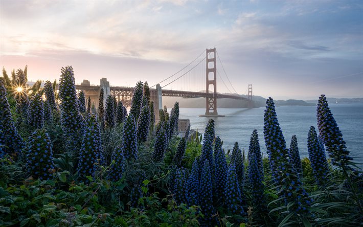 Golden Gate Bridge, h&#228;ngbro, San Francisco Bay, morgon, soluppg&#229;ng, kust, San Francisco, Kalifornien, USA