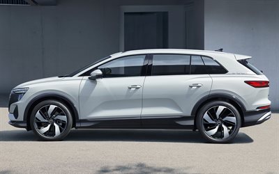 2022, Audi Q5 E-Tron, vista laterale, esterno, nuovo bianco Q5 E-Tron, auto elettriche, auto tedesche, Audi