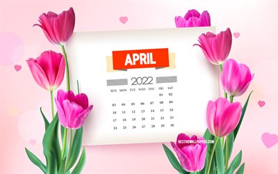 Huhtikuu 2022 kalenteri, 4k, vaaleanpunaiset tulppaanit, kev&#228;t tausta tulppaanilla, huhtikuu 2022 kev&#228;tkalenterit, kev&#228;tkukat, 2022 huhtikuu kalenteri