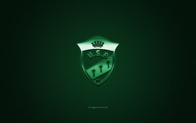 US Biskra, Algeria football club, green logo, green carbon fiber background, Ligue Professionnelle 1, football, Biskra, Algeria, US Biskra logo