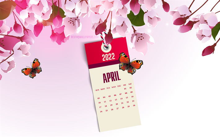 2022 aprilkalender, 4k, rosa v&#229;rbakgrund, rosa v&#229;rblommor, 2022 v&#229;rkalendrar, april, v&#229;rblomning, april 2022 kalender