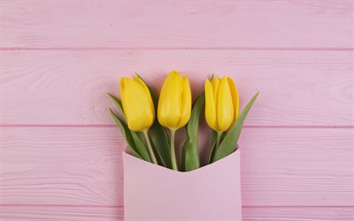 tulipas amarelas, envelope de papel cor-de-rosa, presente, primavera, tulipas, flores da primavera