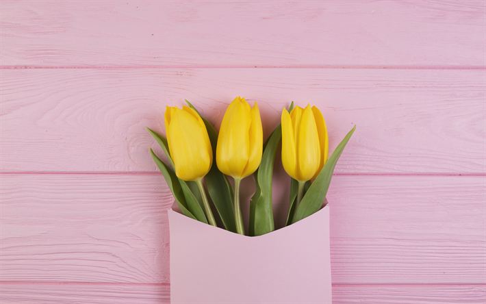 黄色のチューリップ, ピンク色の紙封筒, ギフト, 春, チューリップ, 春の花