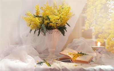 mimoza, sarı bahar &#231;i&#231;ekleri, kitap, bahar buket, vazo